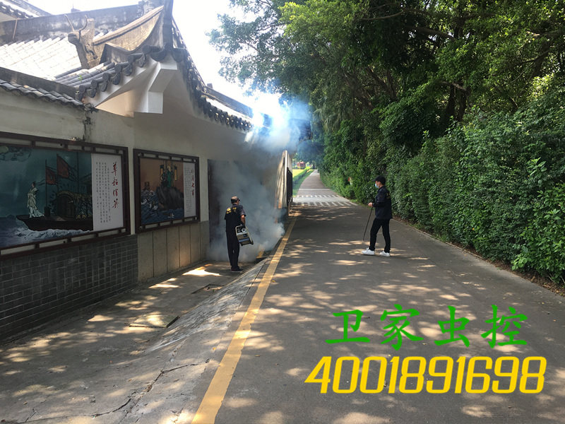 三水区乐平除四害公司，蟑螂怎么消灭，3个方法教你如何防治蟑螂除小强